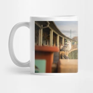 Seagull in South Carolina Mug